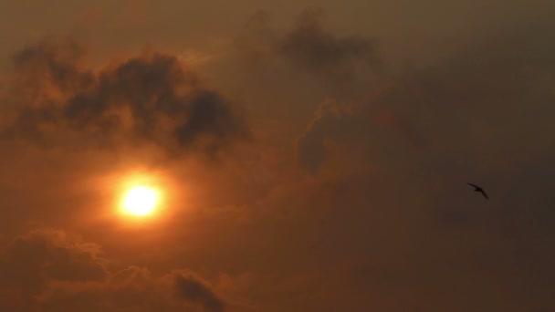 金色的夕阳的天空 — 图库视频影像