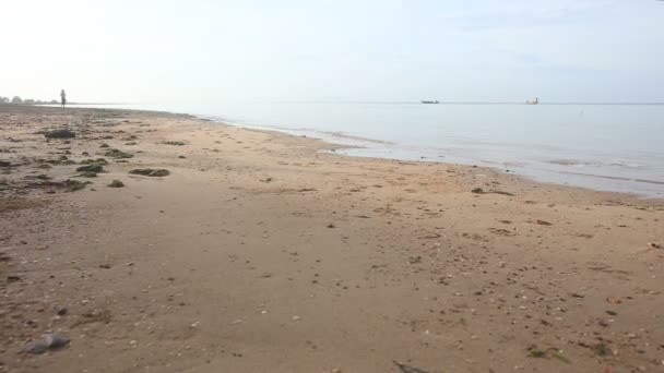 Mulher correndo na praia — Vídeo de Stock