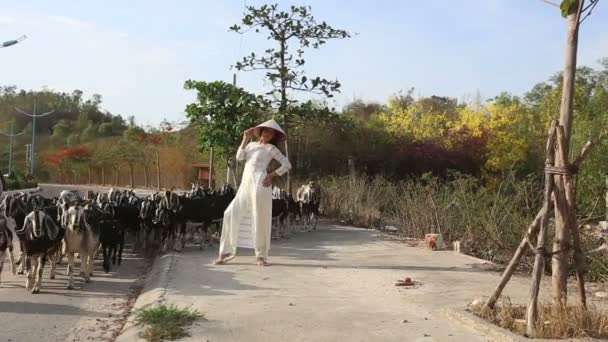 Girl in Vietnamese costume — Stock Video