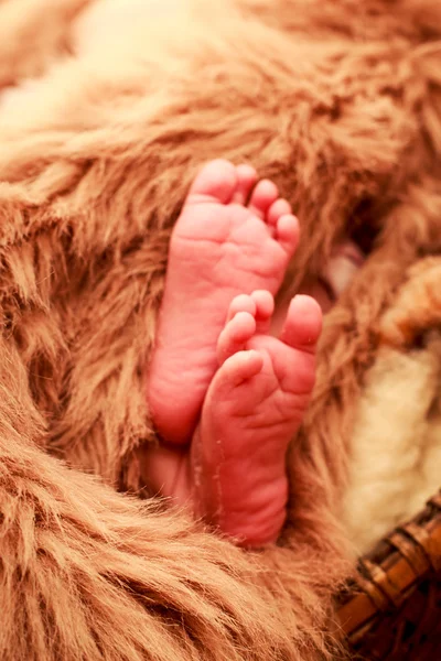 Primer plano recién nacido bebé pies — Foto de Stock