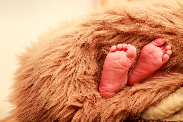 Närbild nyfödd baby fötter — Stockfoto