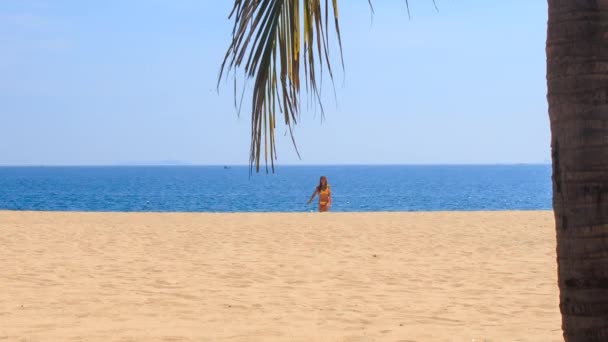 Bela mulher na praia — Vídeo de Stock