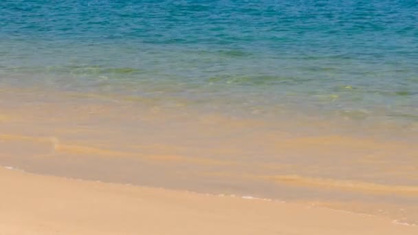 Beautiful woman on the beach — Stock Video