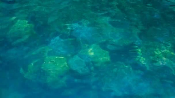 Água azul-turquesa tranquila transparente — Vídeo de Stock