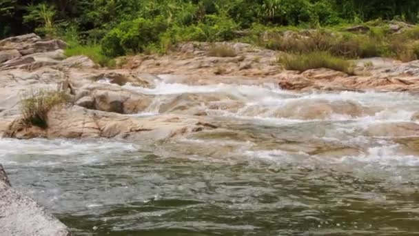 Cachoeira na selva tropical — Vídeo de Stock