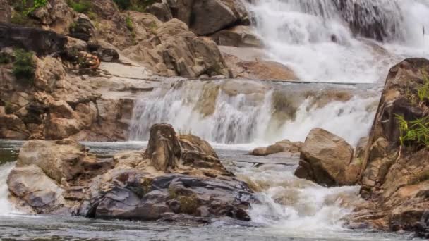 Cascade dans la jungle tropicale 