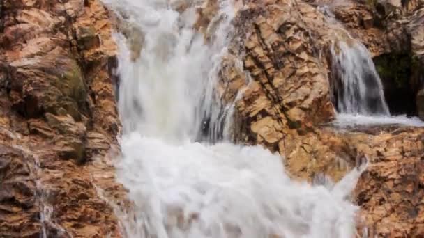 Cachoeira na selva tropical — Vídeo de Stock