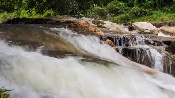 Cascade dans la jungle tropicale 