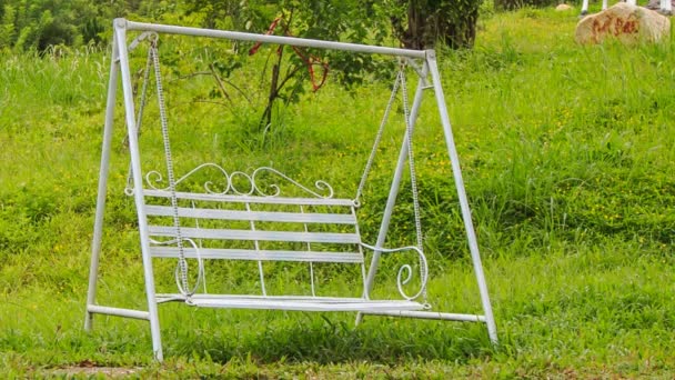 swing sur l'herbe verte dans le parc 