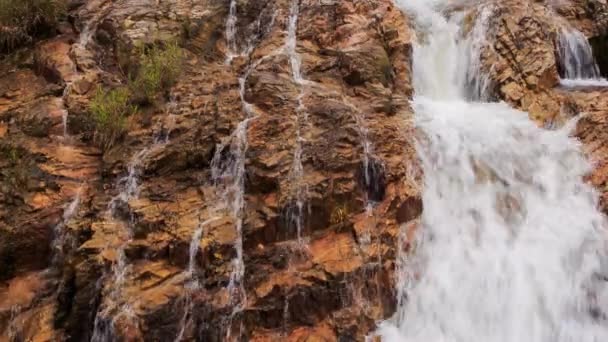 Cascada en selva tropical — Vídeo de stock