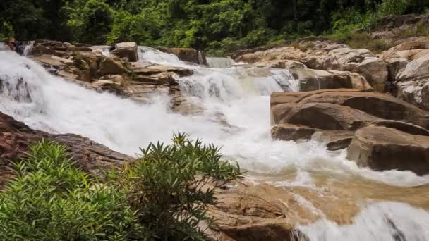 在热带丛林中的瀑布 — 图库视频影像