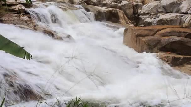 Wasserfall im tropischen Dschungel — Stockvideo