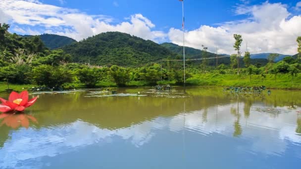 Panorama of lake with red flower — Stock Video