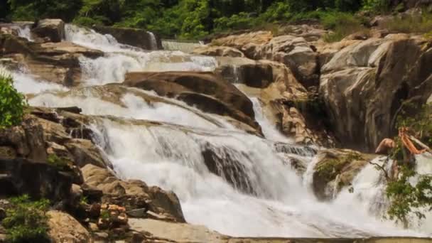 Cascade dans la jungle tropicale 