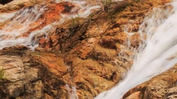 Cachoeira na selva tropical — Vídeo de Stock