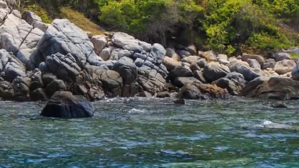 Cascada en selva tropical — Vídeo de stock