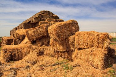 Bahar haystacks alanındaki