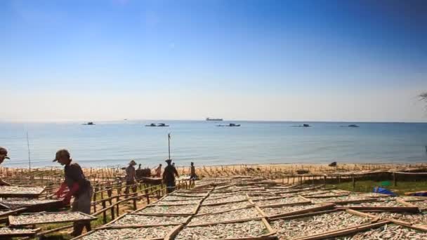 Pescadores vietnamitas con cestas de pesca — Vídeo de stock