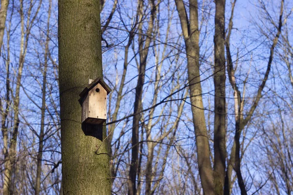 Une Cabane Oiseaux Bois Est Suspendue Haut Sur Arbre Milieu — Photo