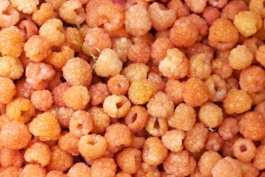 Olgun sarı ahududular, arka plan. Bir sürü toplanmış sarı dut, yaz konsepti.