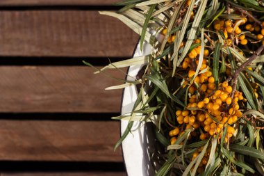 Deniz dikenli meyveli dallar beyaz metal bir kasenin içinde, arka plan ahşaptır. Sağlıklı sonbahar meyveleri. Metin için yer