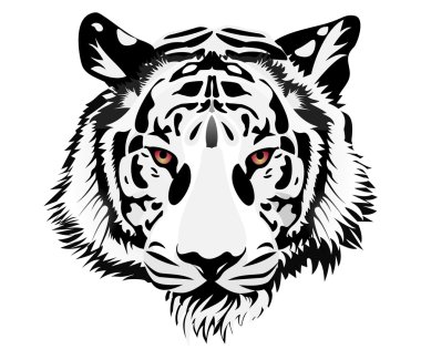 white tiger realistic clipart