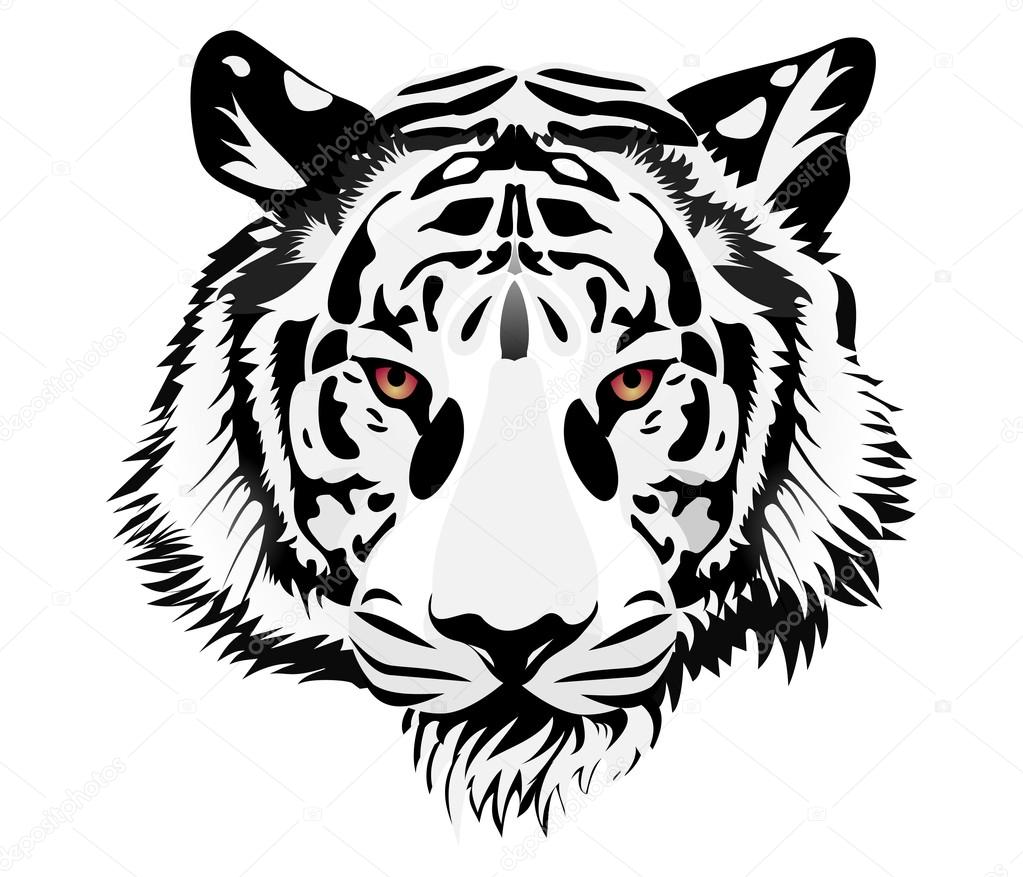 white tiger realistic