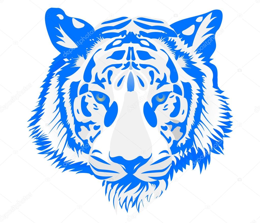 Head of fire tiger in blue. Illustration on white  background.