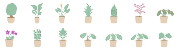 Vektorová Ilustrace Vnitřních Rostlin Květináči Domácí Rostliny Izolované Bílém Pozadí — Stockový vektor