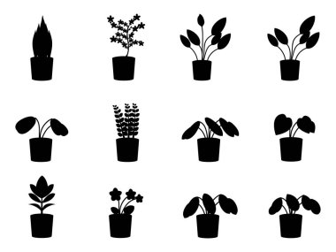 Beyaz arka planda izole edilmiş bir grup saksı çiçeği. İçerideki bitkiler vektör illüstrasyonu.