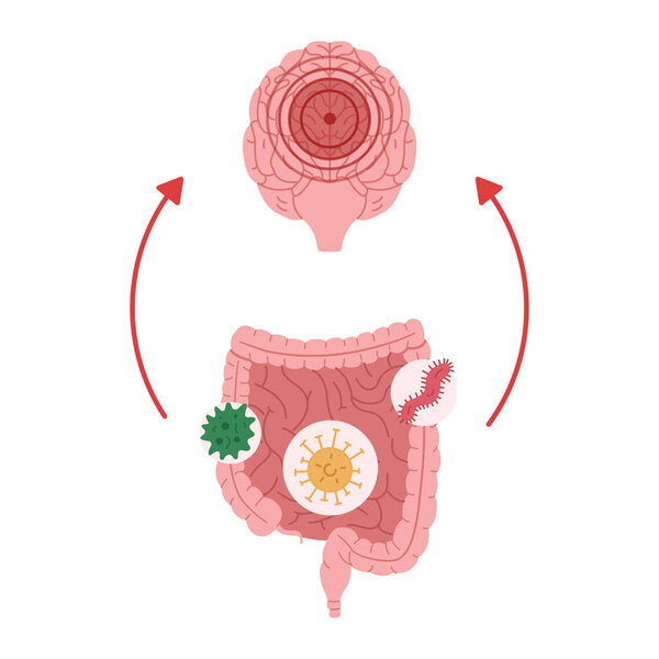 Poor intestinal health as a result of exposure to microorganisms leads to neuroinflammation vector illustration.
