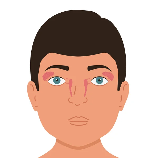 Person Lacrimal Gland Medical Vector Illustration — Stock Vector