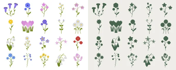 フラットなスタイルとシルエットで野の花のセット 花のベクトル図 — ストックベクタ