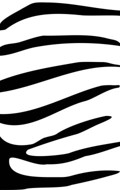 Trendy zebra print. Vector striped pattern