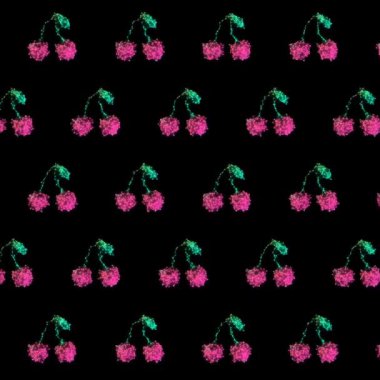 Karanlık Arkaplan 'da Geometrik Kiraz Deseni, Soyut Pembe Meyve Hareketi Grafiksiz Döngü, 1: 1 Kare Video