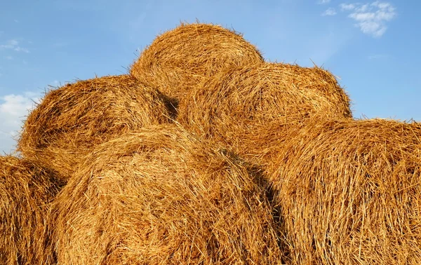 Bales of straw close-up — Stock Photo, Image