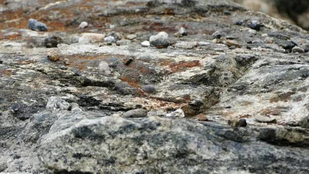 Kleiner Felsen fällt herunter — Stockvideo