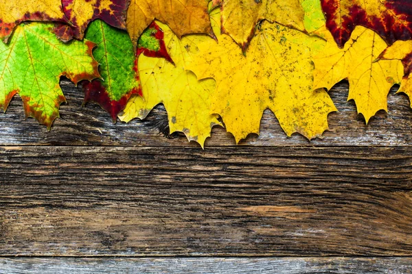 Dekorativ Höst Bakgrund Med Höst Färgglada Blad — Stockfoto