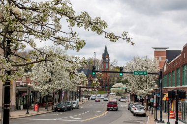 NORWALK, CT, ABD - 16 Nisan 2021 İlkbahar günü Kuzey Ana Cadde 'den çiçek açan ağaçlarla