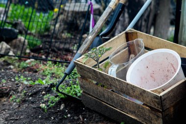 Bahçedeki ahşap kutulu bahçe aletleri.