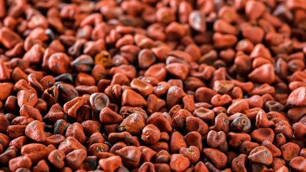 Annatto Tohum Makrosu Kapat Arkaplanı — Stok fotoğraf