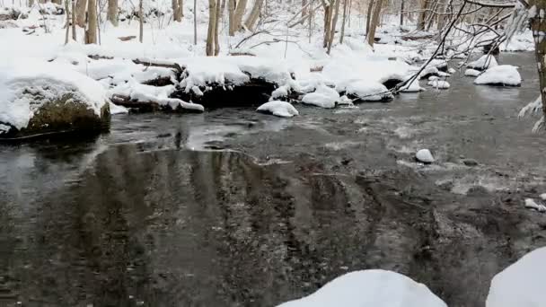 Fiume in inverno — Video Stock