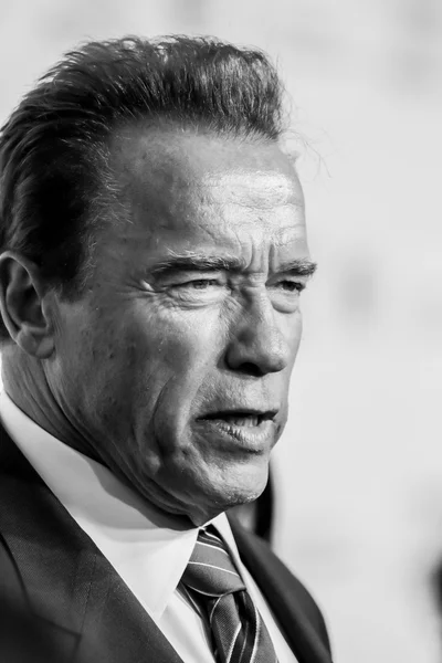 Arnold Schwarzenegger — Foto Stock