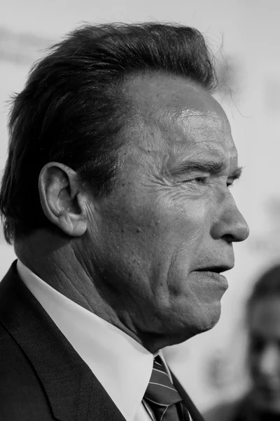 Arnold Schwarzenegger — Stok Foto