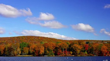 Sakin göl canlı sonbahar renklerini yansıtır. Suyu çevreleyen ağaçlar turuncu, sarı ve kırmızı renkte giyinmiş. Bu da güzel bir sonbahar manzarası yaratıyor..