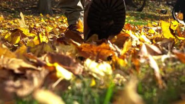 Walking in slow motion video through and yellow leave vibrant organs brings a sense of joy during this autumn stroll in a peaceful backyard.