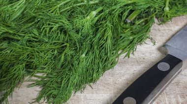 Köy ahşap bir tahtanın üzerinde, mutfak bıçağının yanında, pişirmeye ve baharat vermeye hazır taze dereotu sürüsü yatıyor.