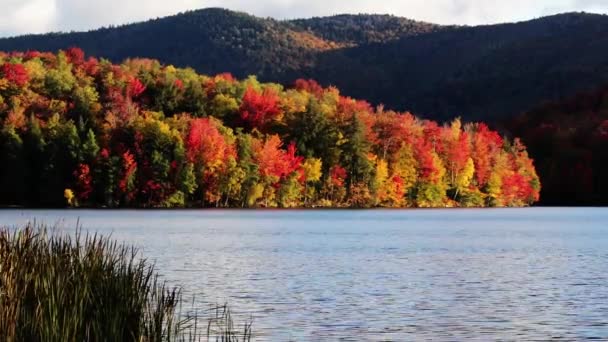 Colores de follaje de Vermont — Vídeos de Stock