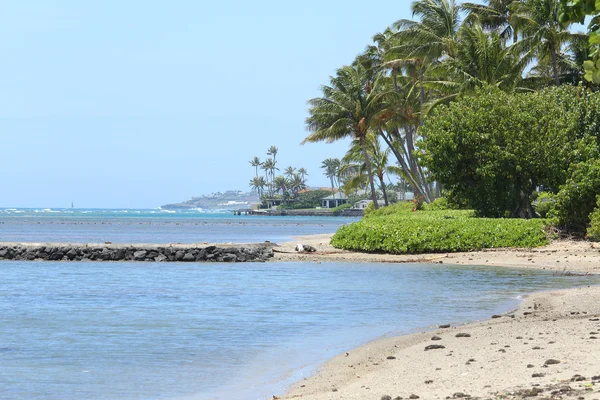 Wild beach of Honolulu in Hawaii — Stock Photo, Image