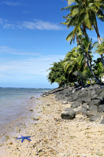 Apia, a capital de Samoa no Oceano Pacífico — Fotografia de Stock